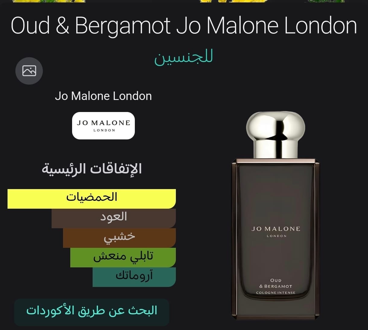 5fe61ec4 9c8c 4aed 9aca 303b8f1fb858