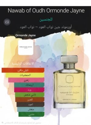 nawab of oudh intensivo